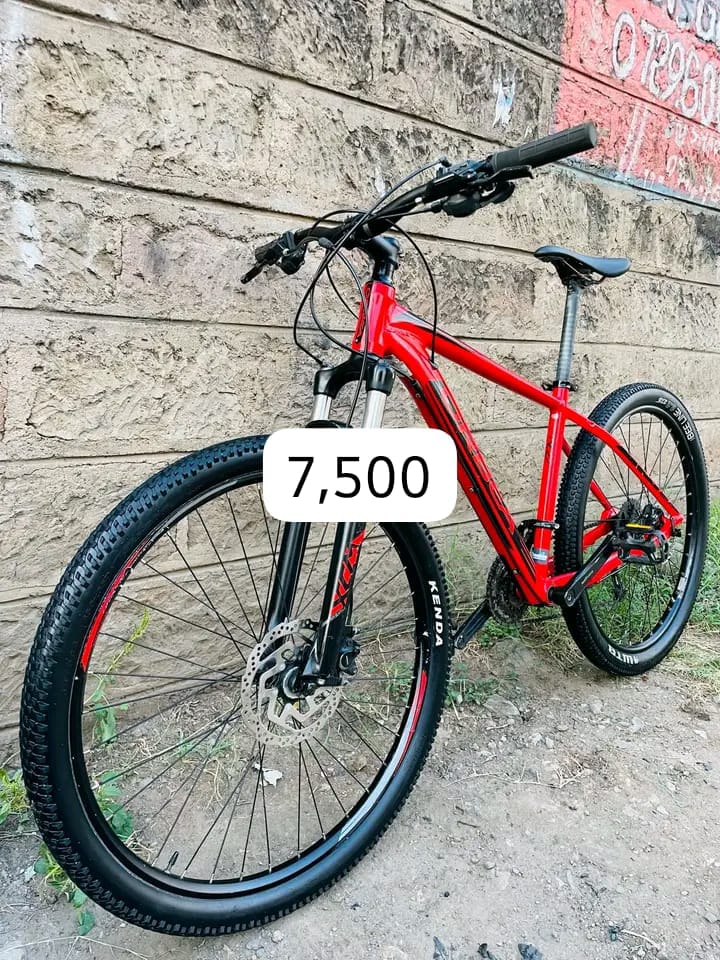 Mountain bike
